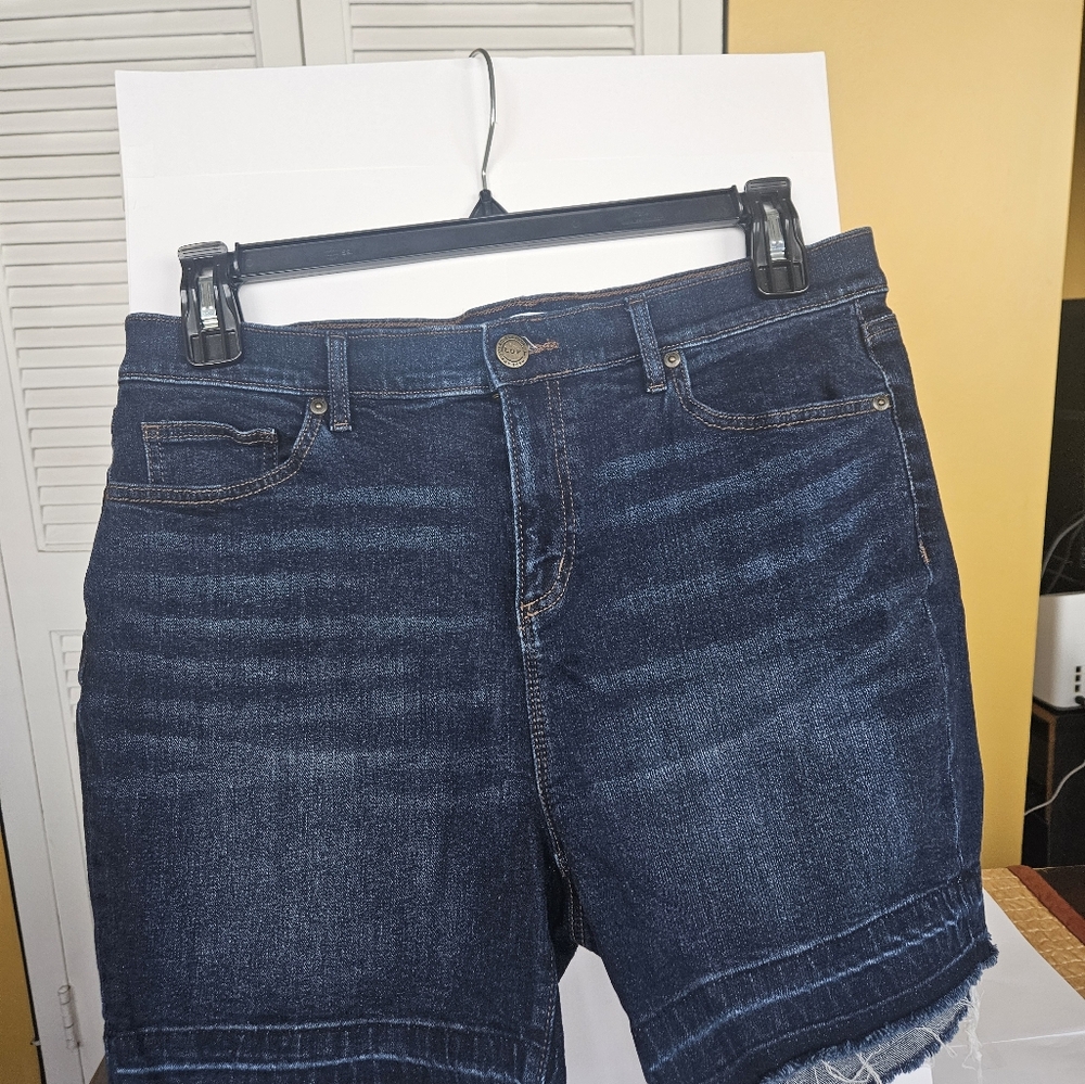 LOFT Blue Jean Shorts with Rich Indigo Wash